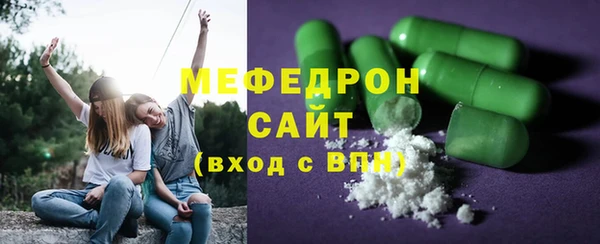 прущие грибы Тайга