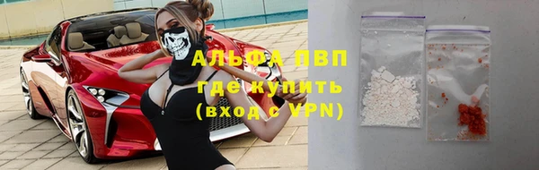 стаф Сясьстрой