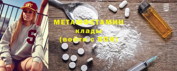 прущие грибы Тайга