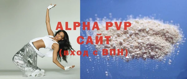 прущие грибы Тайга