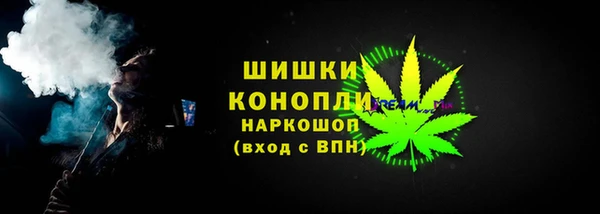 стаф Сясьстрой