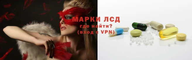 прущие грибы Тайга