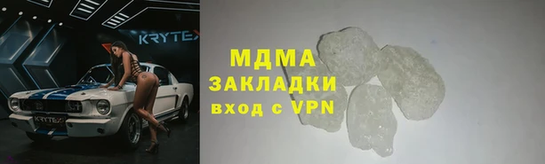прущие грибы Тайга