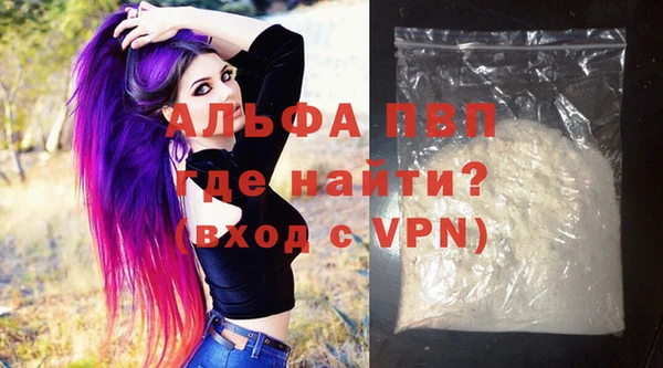 стаф Сясьстрой