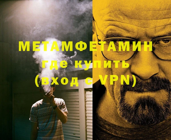 прущие грибы Тайга