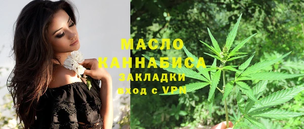 прущие грибы Тайга