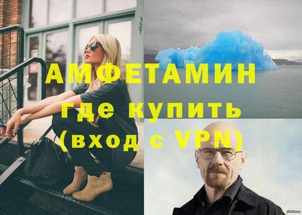 прущие грибы Тайга