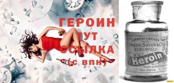 прущие грибы Тайга