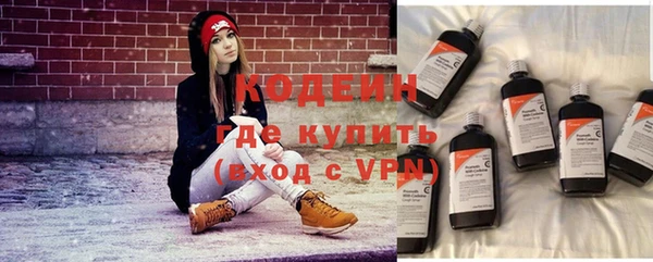 стаф Сясьстрой