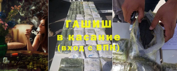 прущие грибы Тайга