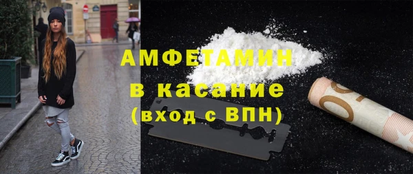 прущие грибы Тайга