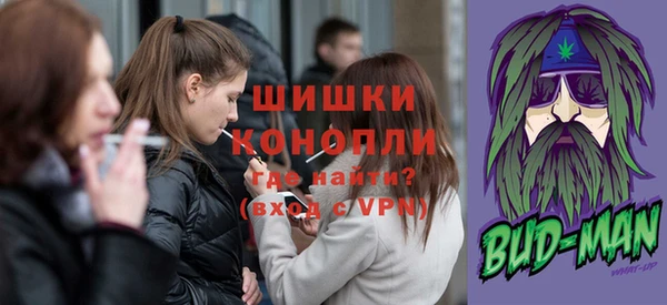 стаф Сясьстрой