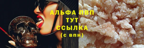 стаф Сясьстрой